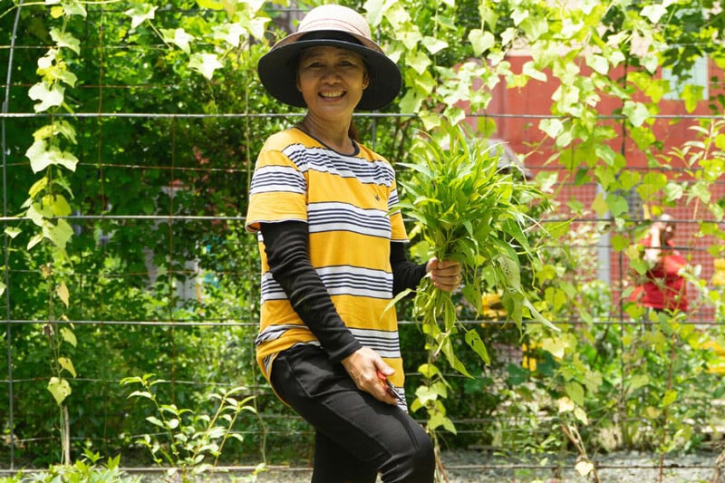 Marilou-Philippines-Urban-Farm-3.2